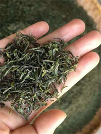 2006年绿印中茶珍藏品