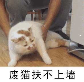 老鼠惨叫声能驱逐老鼠吗