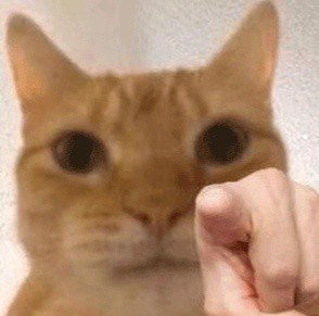 猫一块皮肤脱毛露红肉出血