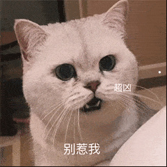猫咪长了猫藓能洗澡吗