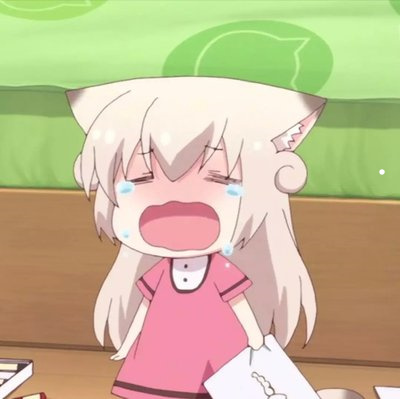 怎么样给宠物猫洗澡