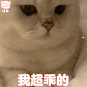 没有被咬可以打狂犬疫苗吗