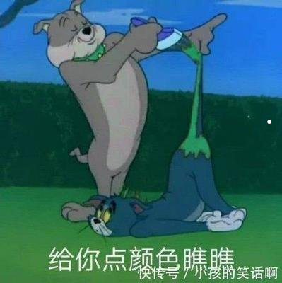 猫咪饮食注意事项