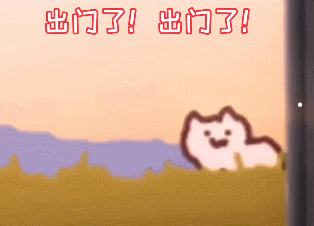 小型犬品种以及价格