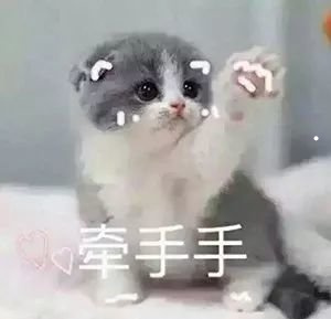 有人说养猫不吉利