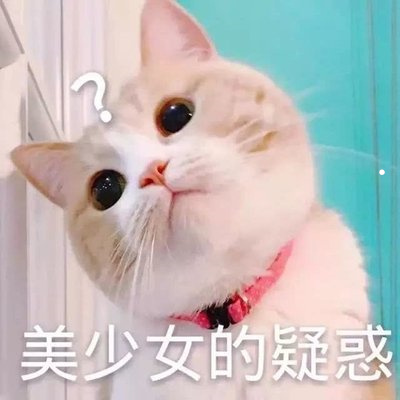 英短养起来贵吗