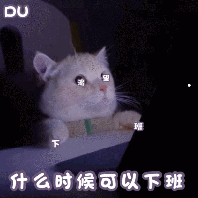 金丝熊冻死了的前兆