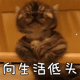 茶叶的种类