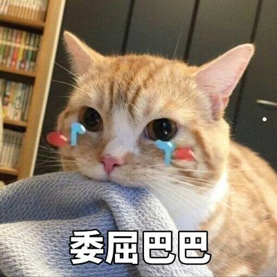 母猫生一胎绝育的好处