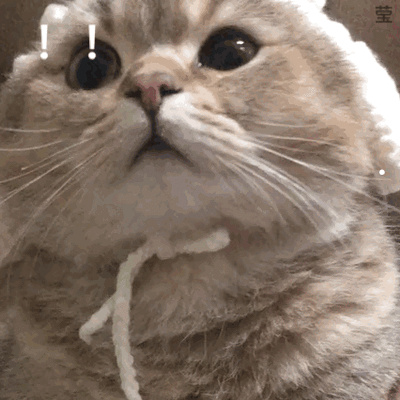猫咪突然被关起来会怎么样