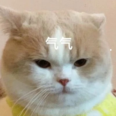 怎样可以防止猫咪脱毛