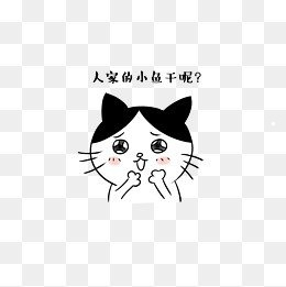 一个多月的小土猫怎么养