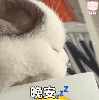 懒人养什么狗最好要便宜