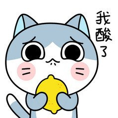 猫的文艺叫法