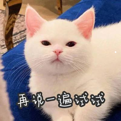 猫一块块的掉毛