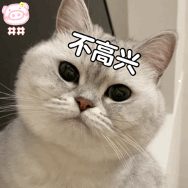 玉在哪里可以卖出去