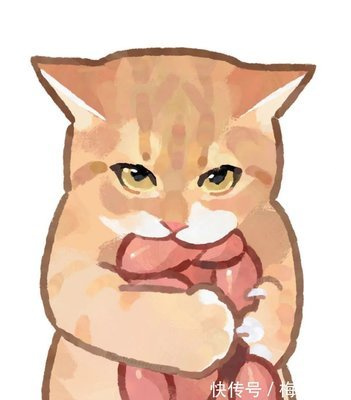 月薪4000可以养猫吗