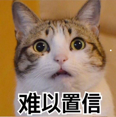 猫猫价格