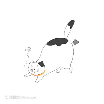 猫一块块的掉毛