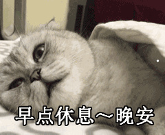 布偶猫哪个色最贵怎么看