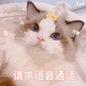 宠物托运好多钱