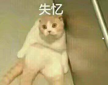 美短串好不好