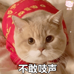 手被宠物猫抓破皮要打针吗