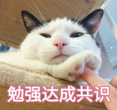 脱口秀领养猫段子