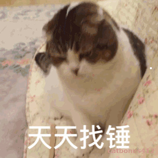 猫的特点和作用