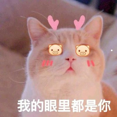 最好养并且适合孩子的猫