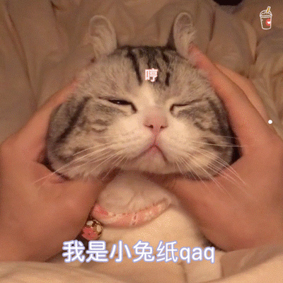 怎么判断狗携带有狂犬病毒