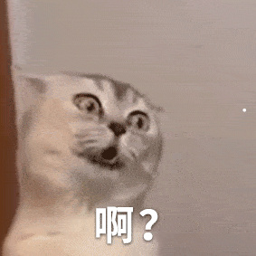 是猫来穷狗来富还是狗来穷猫来富