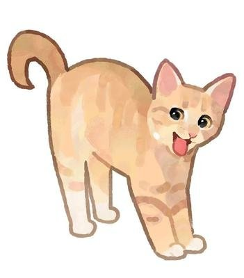 猫咪对人的食物感兴趣