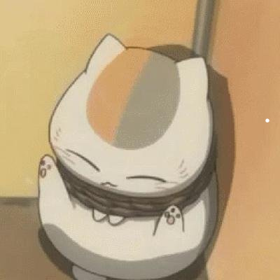 小猫咪猫藓怎么治