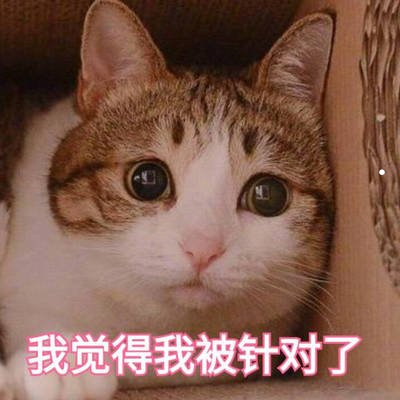 猫得了狂犬病能活多久