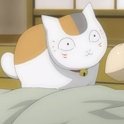 美短蓝猫是什么品种