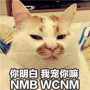 得了狂犬病的猫怕灯光吗