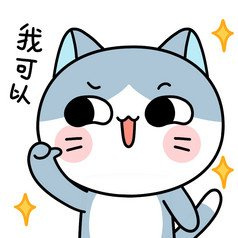 布偶猫的大概价格2021