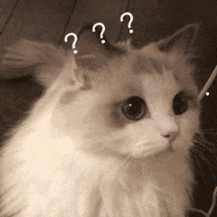 小猫已经会用猫砂为什么还尿床