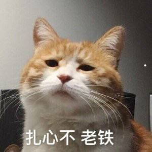 常见狗狗品种大全及图片价格