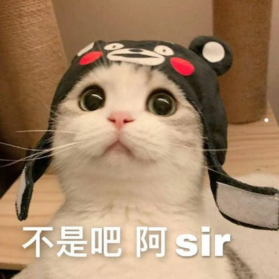 金丝熊生了5只全吃了
