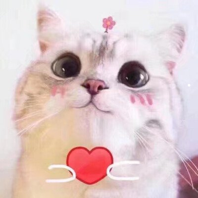 狂犬病得的人多不多