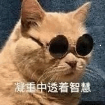 猫的毛一拽就掉一大把