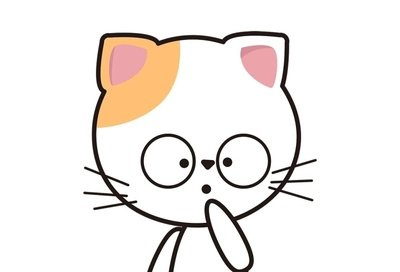 猫咪托运10个小时受得了吗