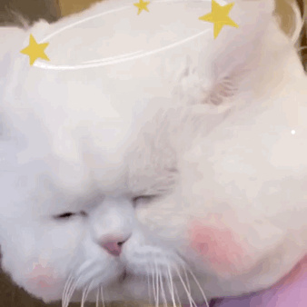 龙猫水印大师怎么去水印