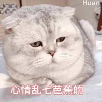 一万多的车有哪些