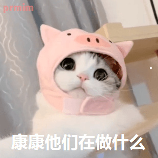 猫叫视频播放狗狗视频