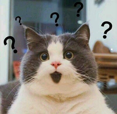 被家养猫抓伤要不要打狂犬疫苗