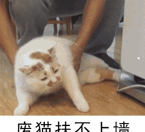 未来养殖业什么前景好