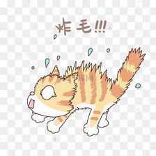 猫咪害怕时